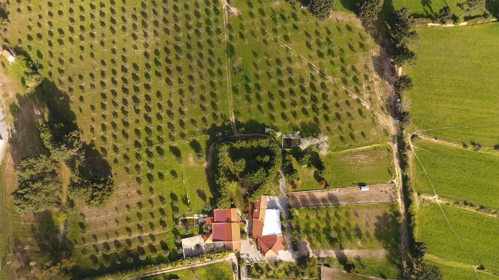 Вилла Quinta Santo Antonio Do Rio Селорику-да-Бейра Экстерьер фото